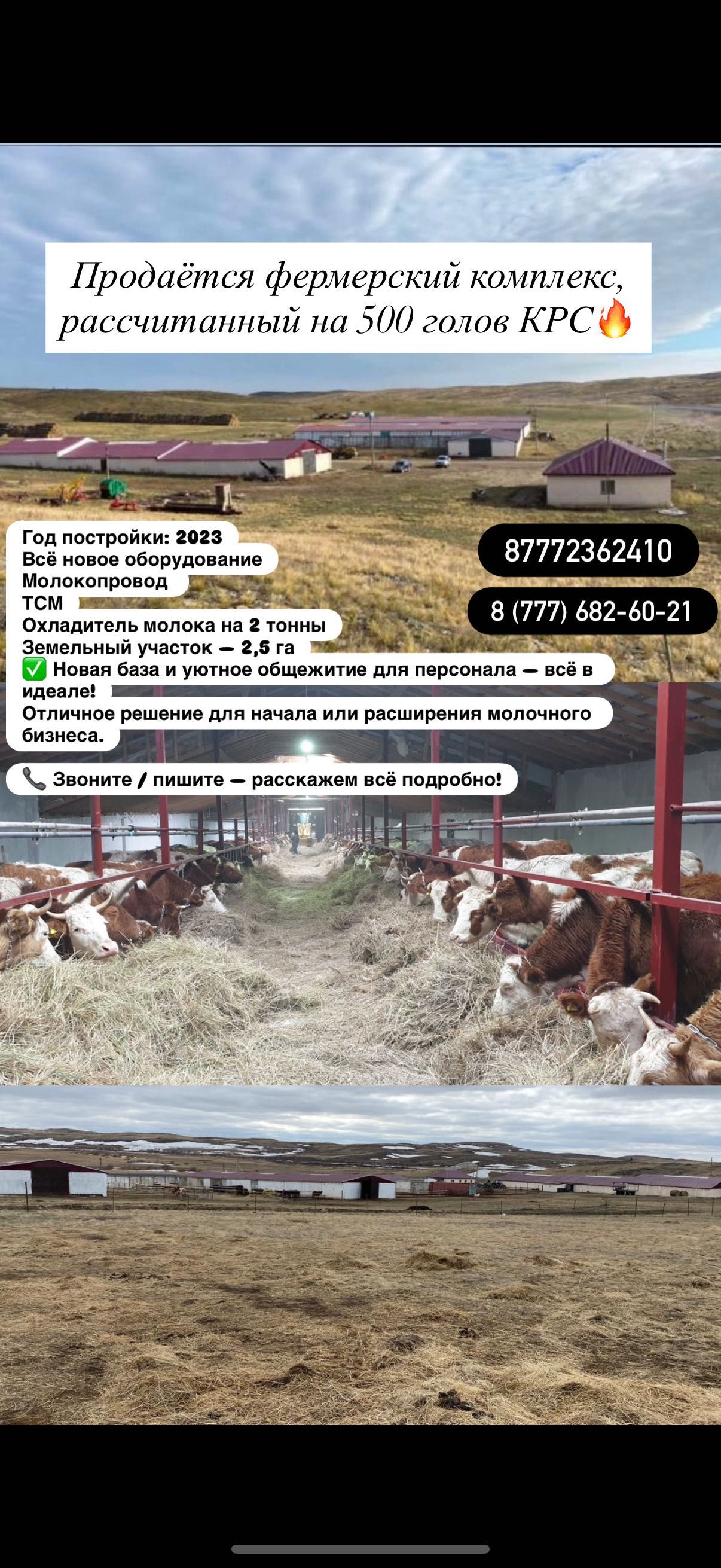 Продается крестьянское хозяйство