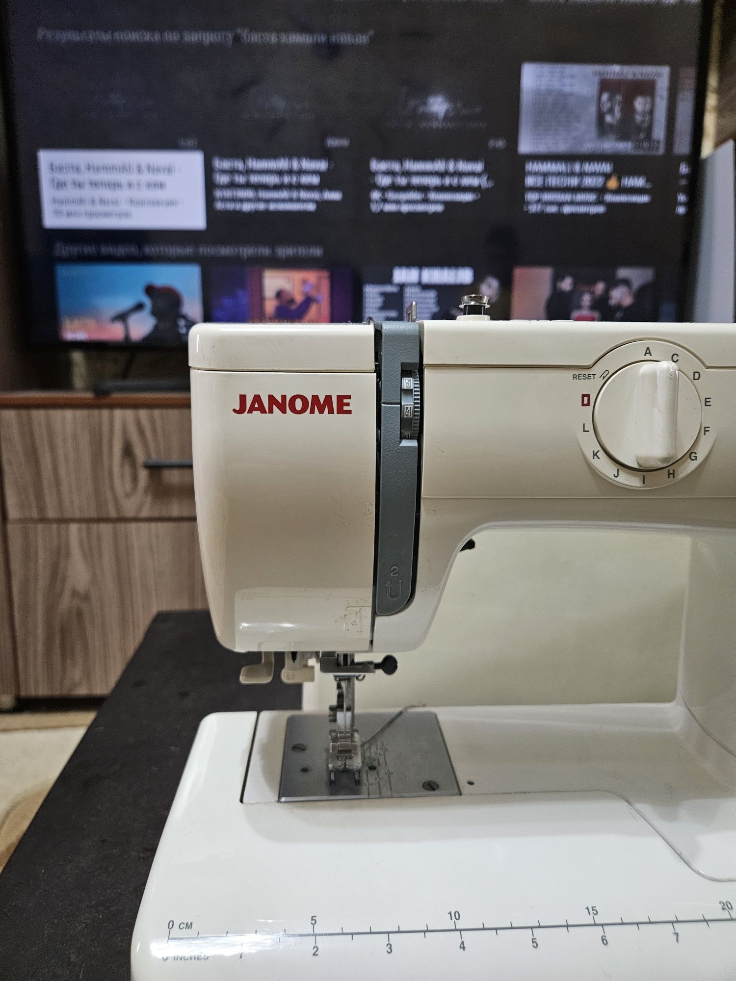 Janome Model 423S