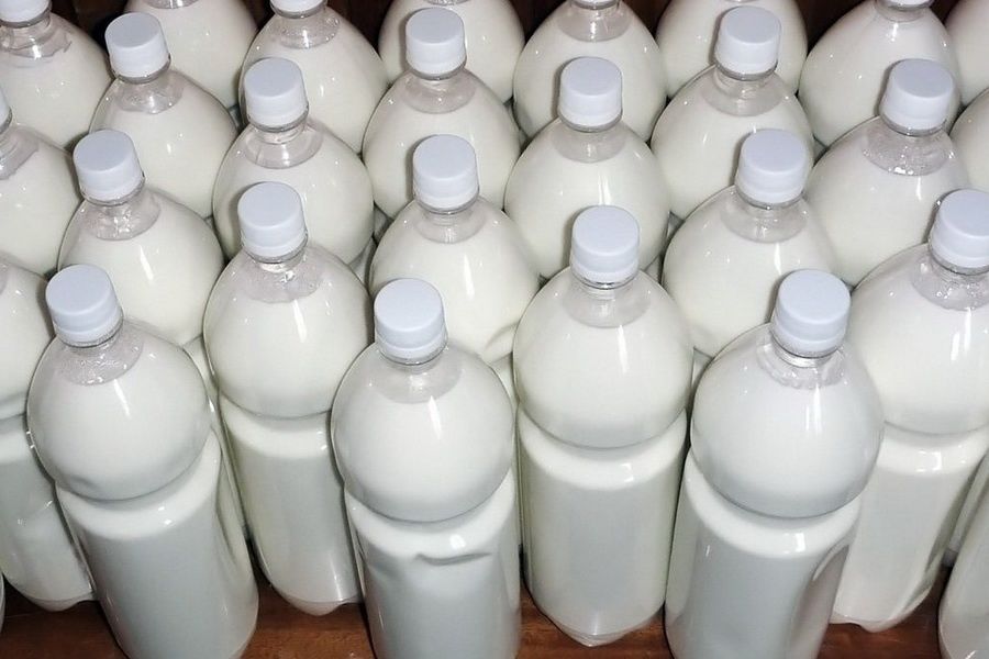 Кымыз оптом и в розницу! Кумыс 100% натуральный