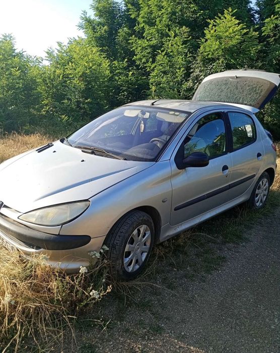 Peugeot 206, 1.9D