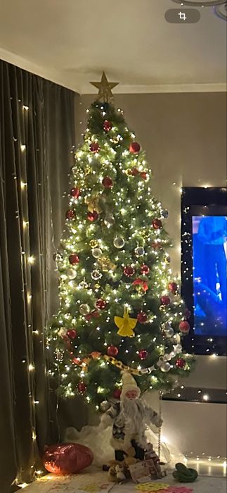 Продам красивую пышную елку