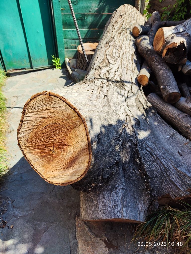 Продавам трупи Орех