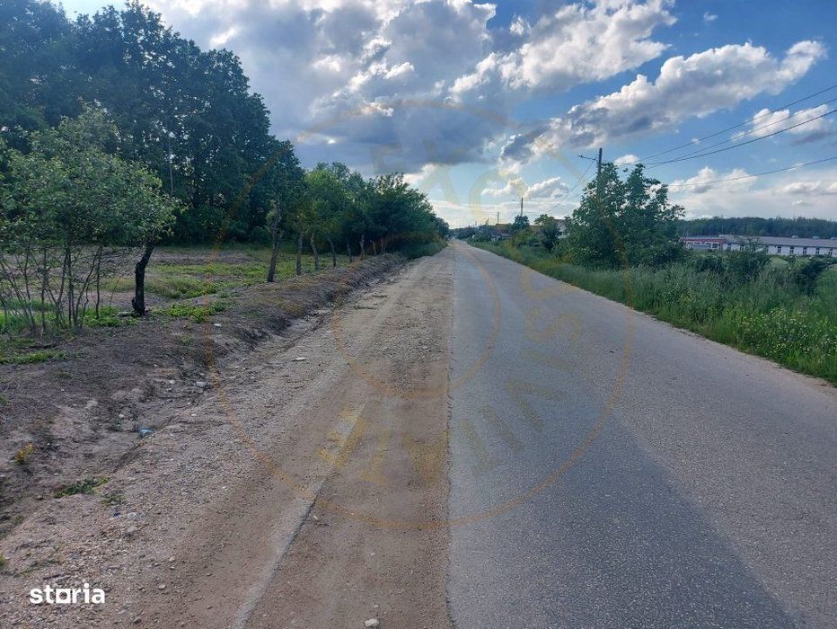 Teren Cerbu - Albota - cu PROIECT CASA si AVIZE