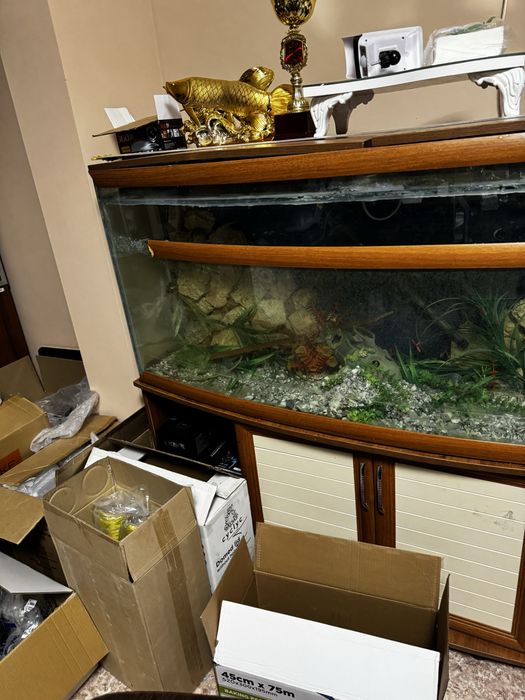 Аквариум продается