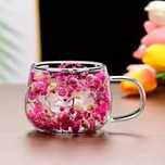 Ceașcă Cană Sticlă Borosilicată cu Pereți Dubli și Flori Uscate 150 ml