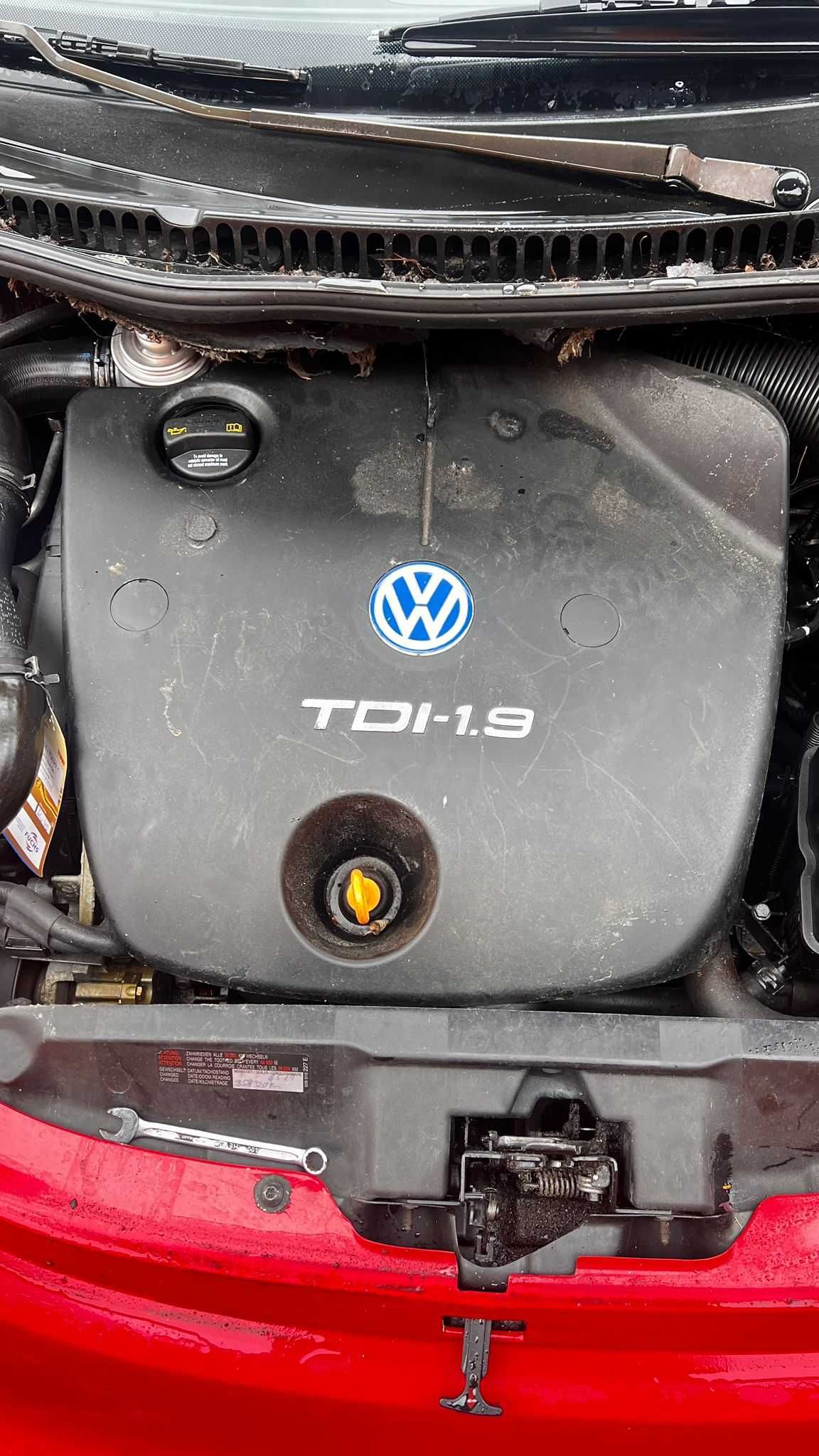 VW Beetle 1.9 TDI ALH  schimb cu Talpa compactoare