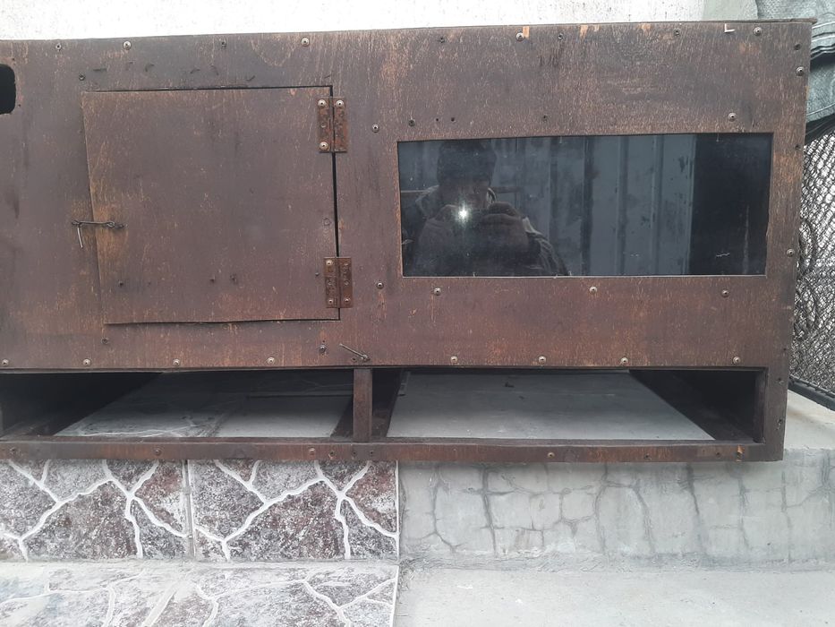 Брудер для цыплят