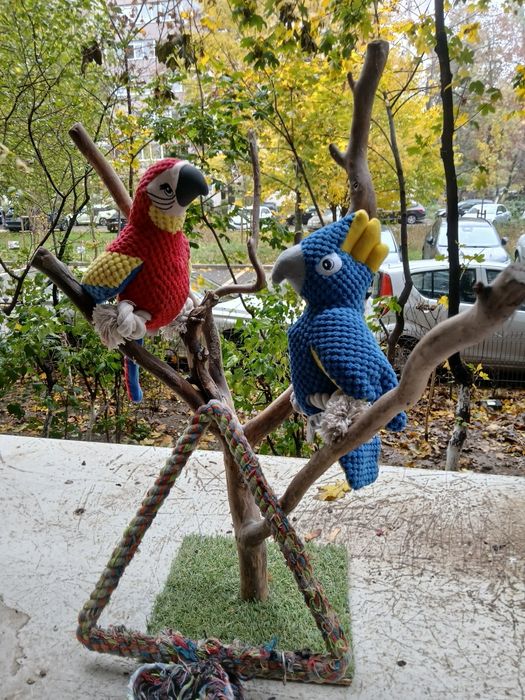 Colivie , cușca și accesorii in stare buna