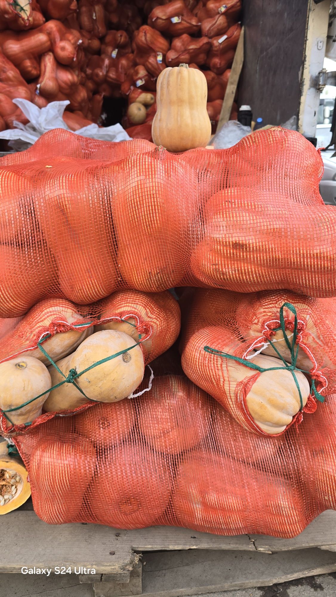 Продам тыкву сорт Матильда