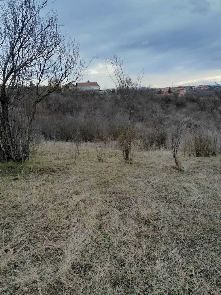 Продава се Парцел в Монтана, Кошарник - 1200 кв.м за 6 €/кв.м - Снимка #6