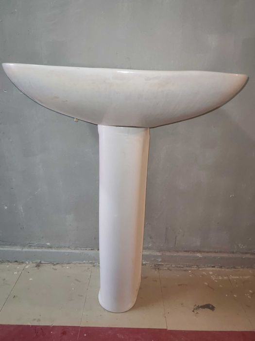 Тюльпан раковина