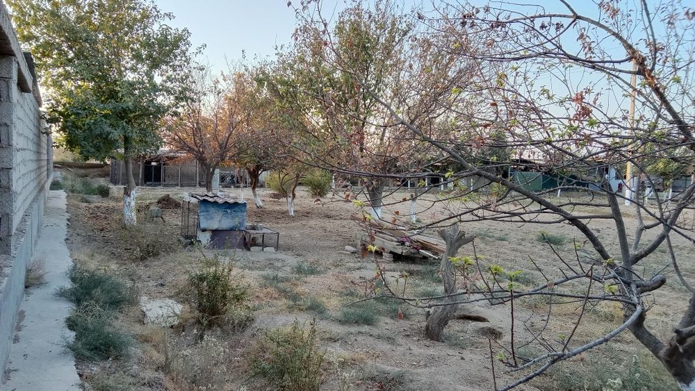 Termiz tumanida yer sotiladi kelishamiz