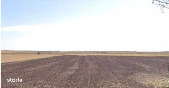 Teren extravilan cota parte 3/16 Amaru, ID: R2764932