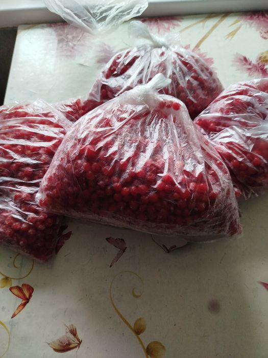 Продажа калина ягода