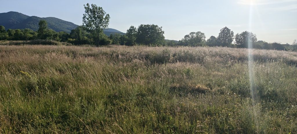 Teren intravilan