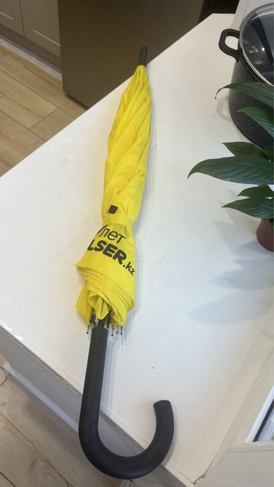 Зонтик с надписью Алсер