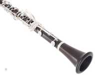 Lecții Clarinet