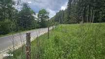 Teren de vanzare in Valea Doftanei