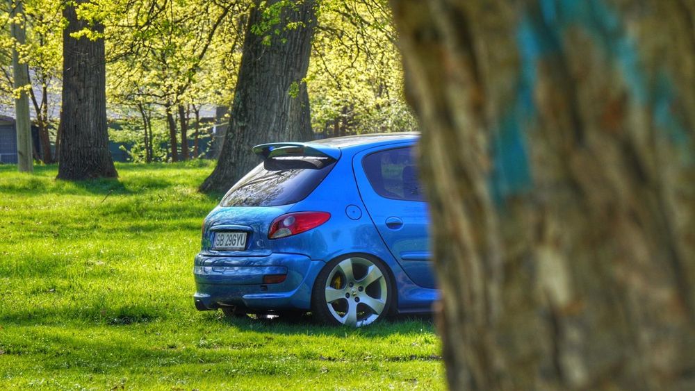 Peugeot 206 Peugeot 206