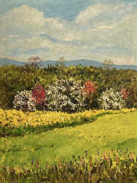 SUPERB! ”CRÂNG ÎNFLORIT” Tablou ulei/car 80x60cm+R, Sem A Rafael-COTAT