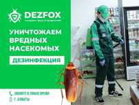 Дезинфекция Дизенфекция Астана От Тараканов Грызунов Клопов