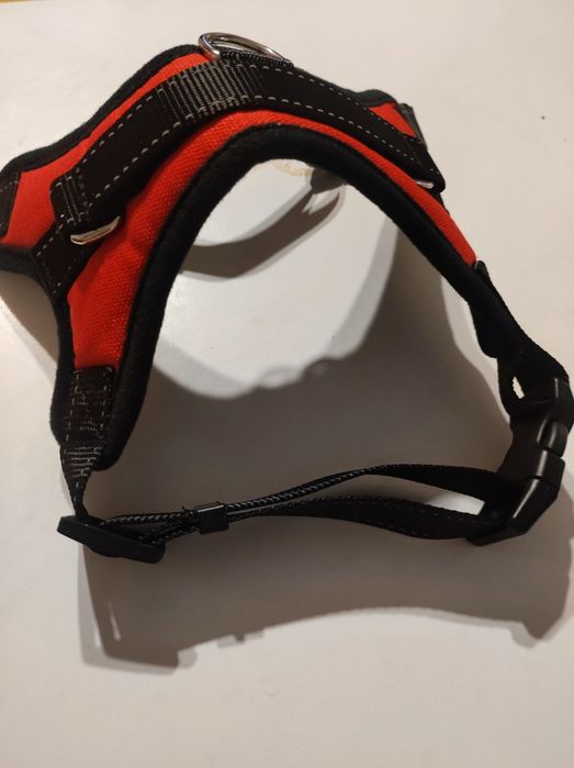 Нова каишка за куче