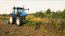 Curăț pășuni terenuri tocăm vegetația și resturi vegetale, tund gazon