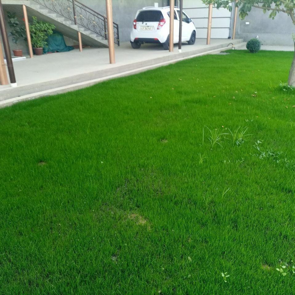 Assalomu alekum qiling ishga garanta beriladi