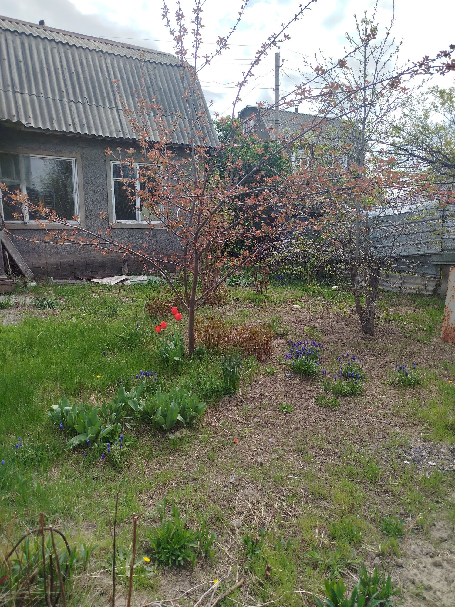 Продам жилой дом с участком