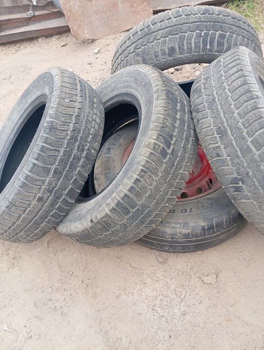 Зимний шишка нет