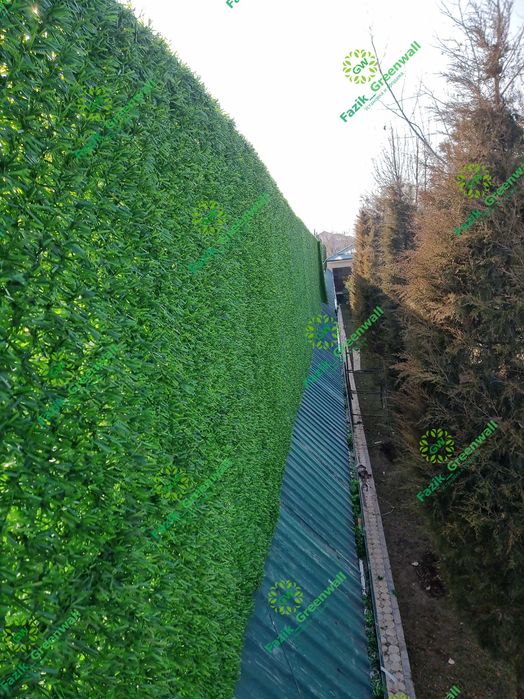 Yashil zabor / Искусственный кусты / Green Wall dekorativ setka