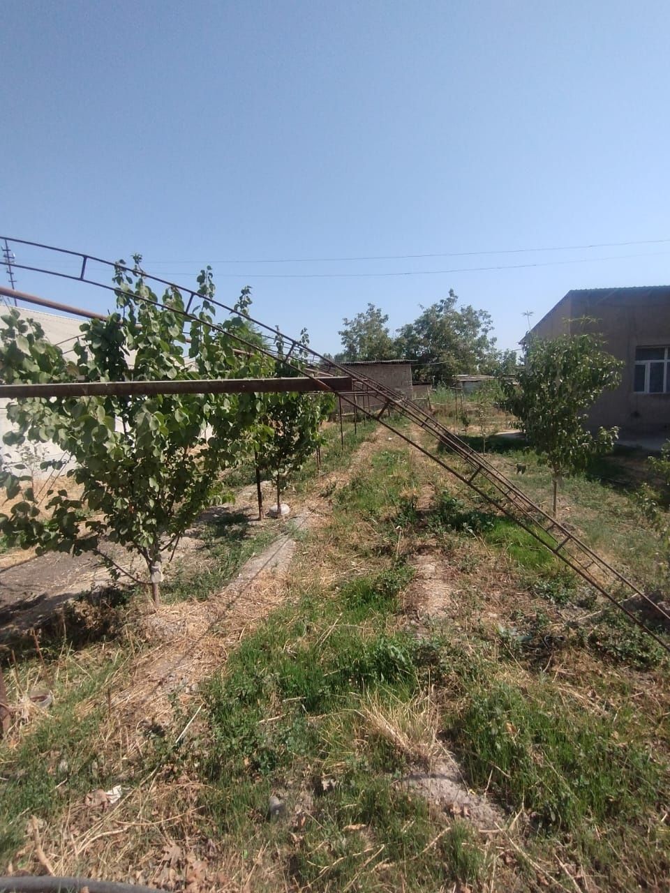 Магазин с арендой 200$ теплица дом