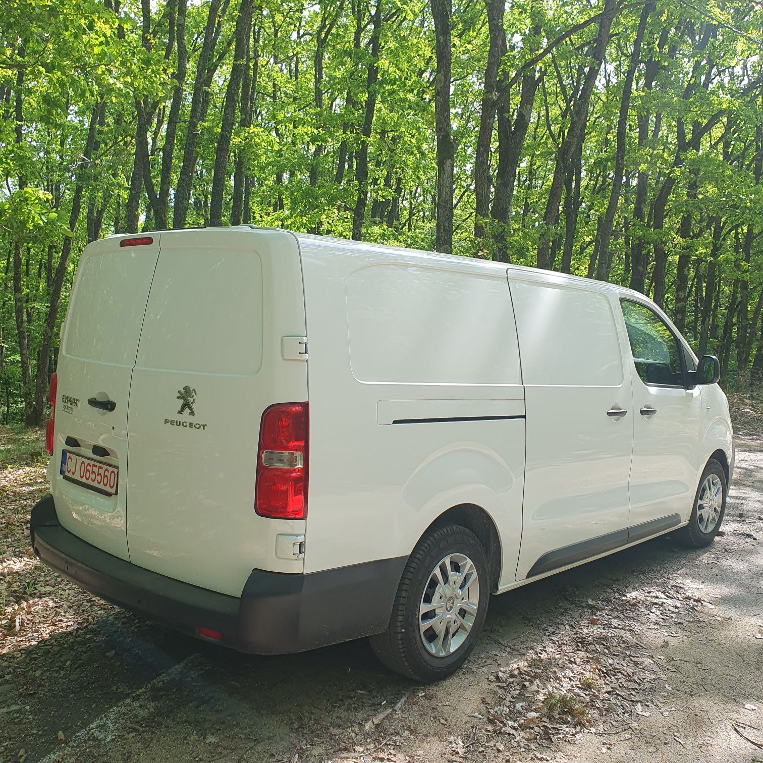 Peugeot Expert 2.0d an 2021 euro 6 inscrisa pe Romania