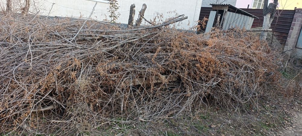 Құрғақ отын ағаш