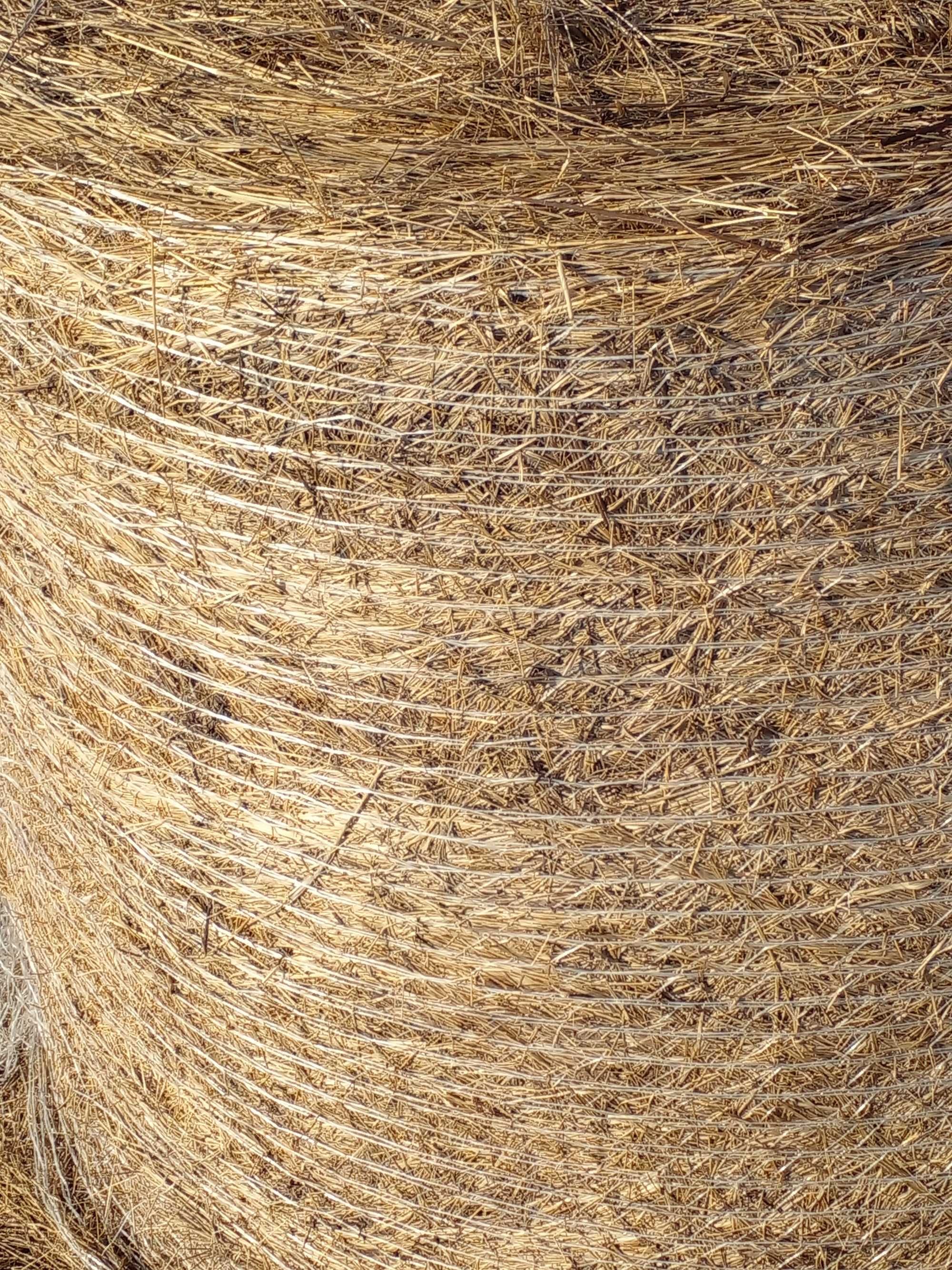 Продам ячменную солому  в рулонах