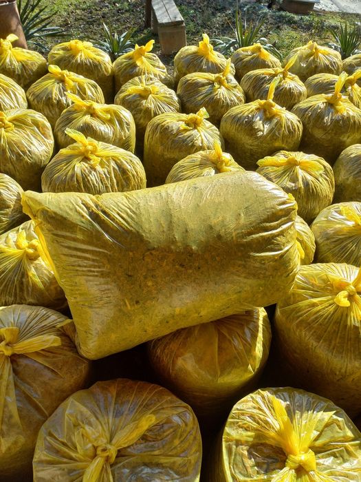 Selos bor donli ,qopli ,raspnoy