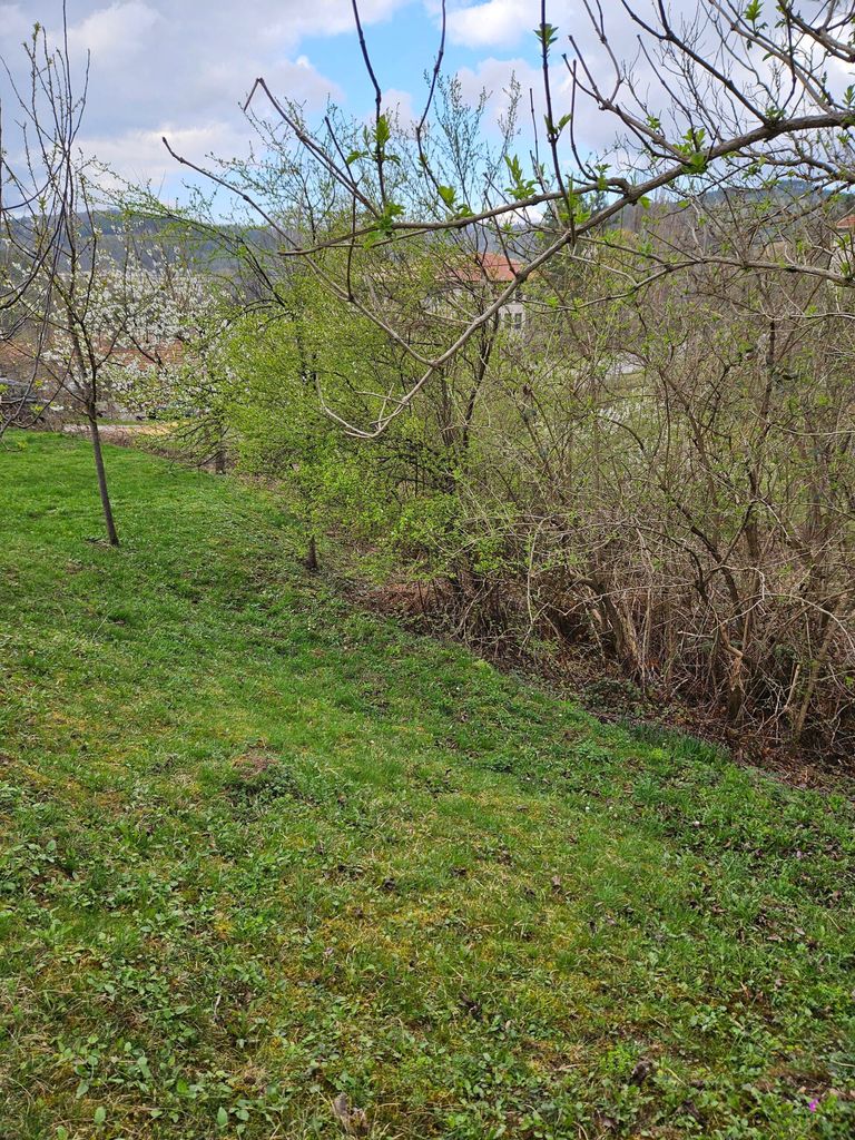 Продава се Парцел в Плачковци - 800 кв.м за 19 €/кв.м - Снимка #4