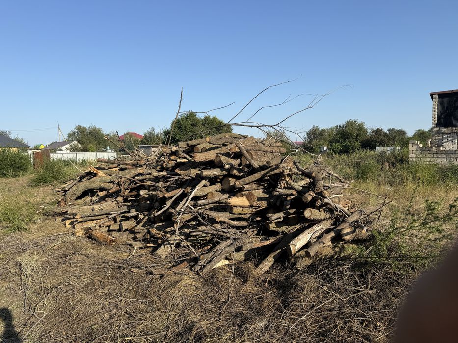 Продам дрова дешево