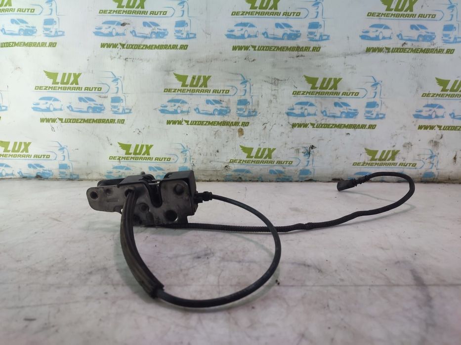 Broasca capota 5N0823503A Volkswagen VW Tiguan 1 5N [2007 - 2011]