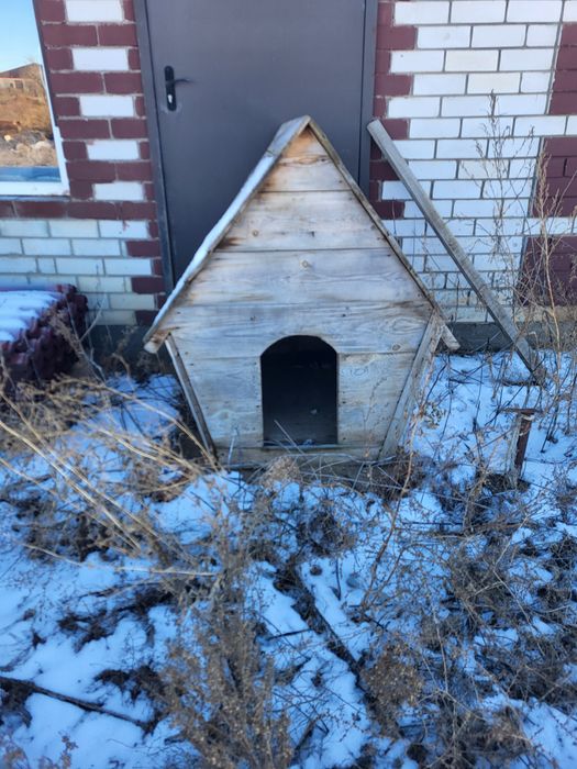 Будка для собаки