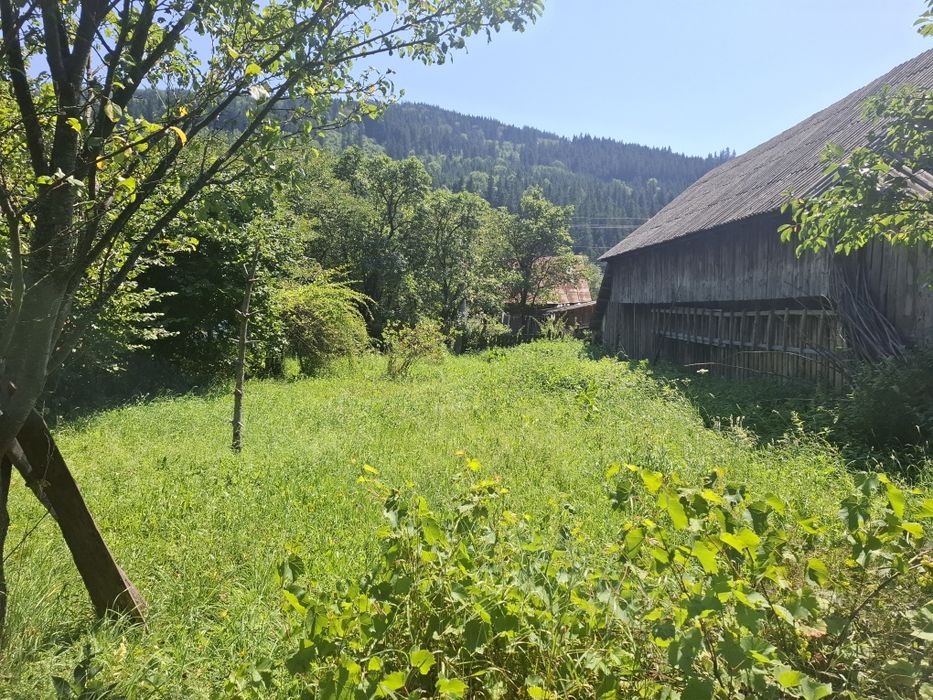 Teren intravilan 2337, utilități, livadă, Grințieș (Neamț) langa Durau