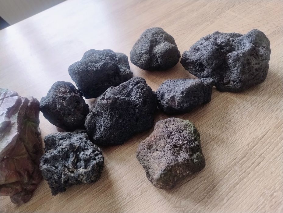 Platforma broasca testoasa