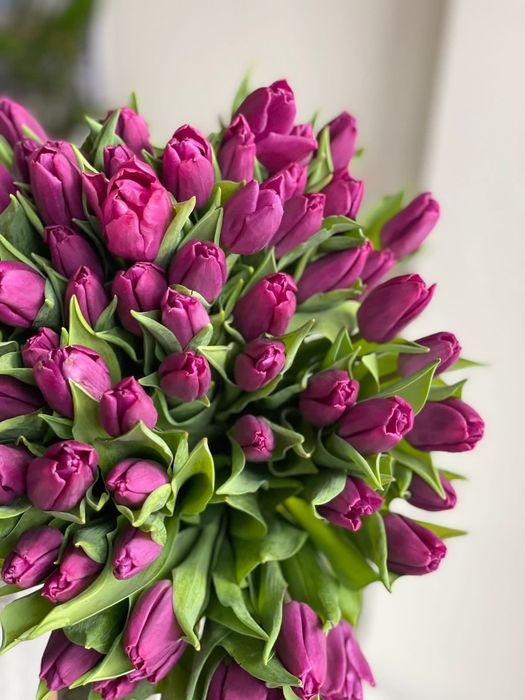 Тюльпаны оптом Уральск