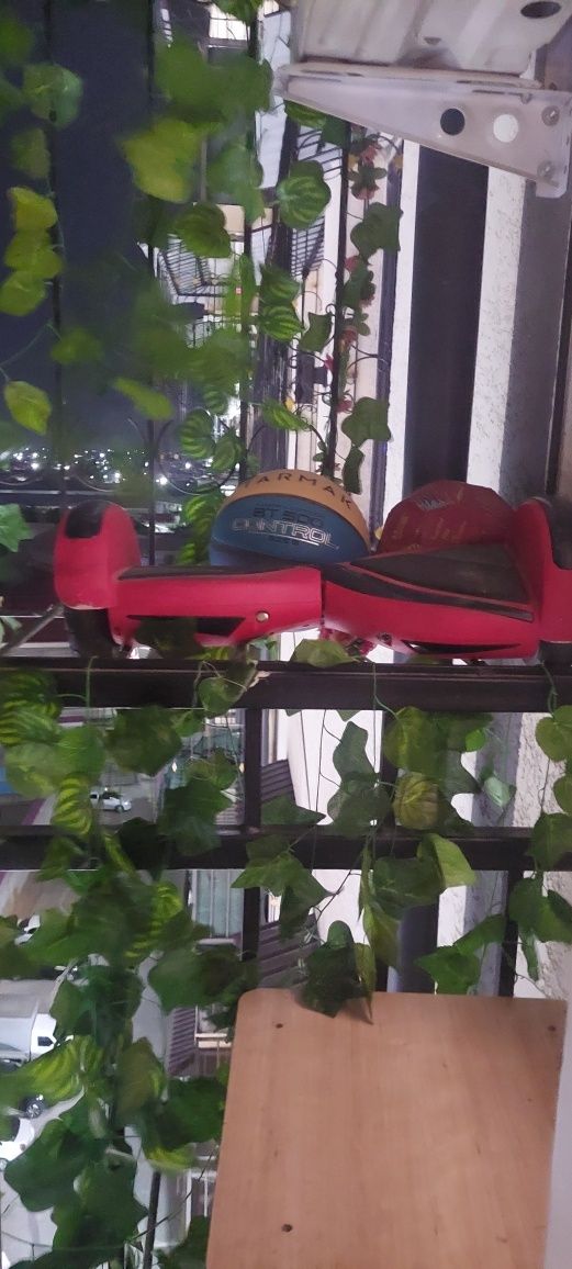 Segway holati yangi kop ishlatilmagan