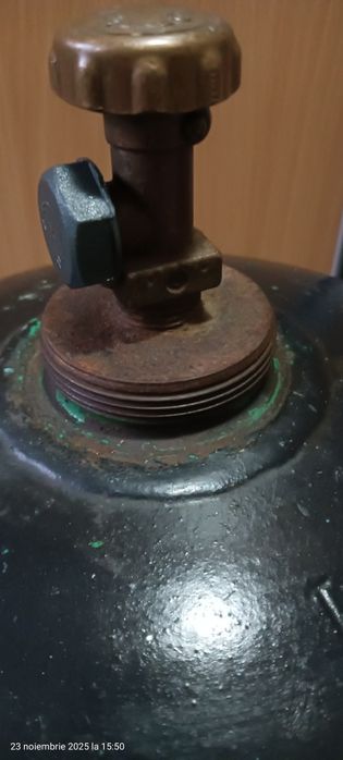 Butelie neagra fara guler