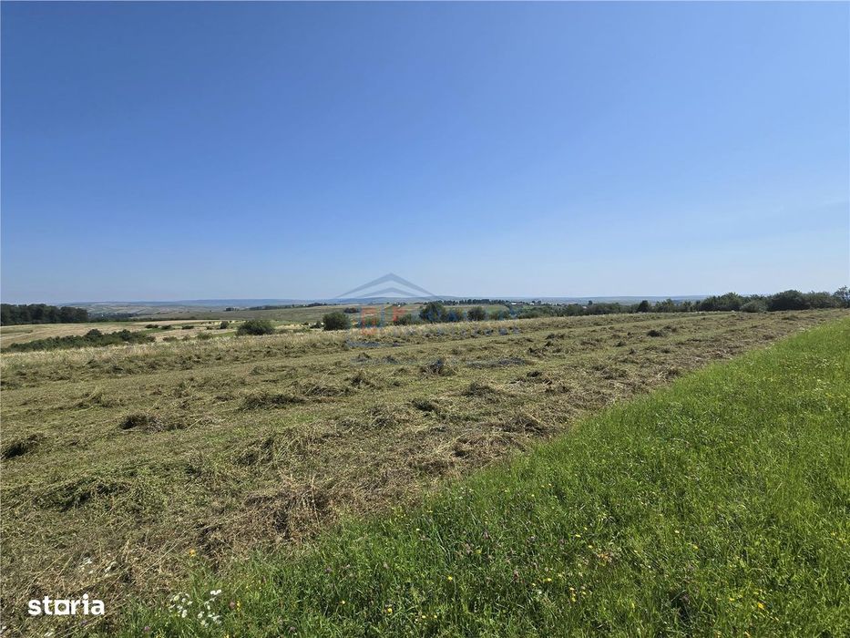 Teren intravilan, Ilisesti, T-7619