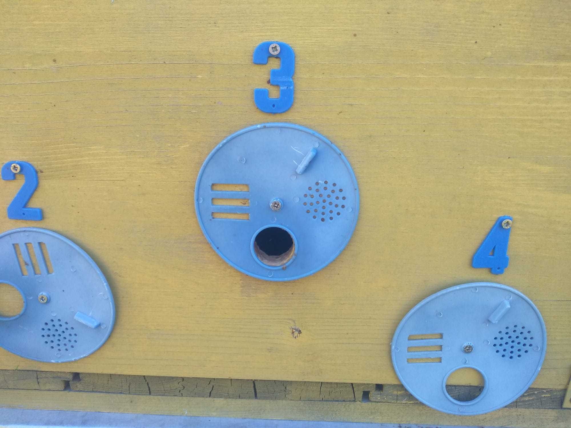 lazi / nuclee de albine / matci