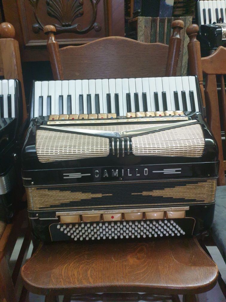 Vand acordeon Camillo