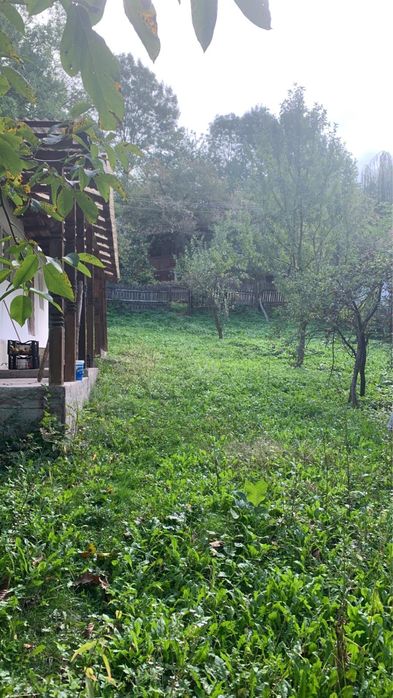 Vand teren 1560mp+casa batraneasca renovata in Bertea Slanic Prahova