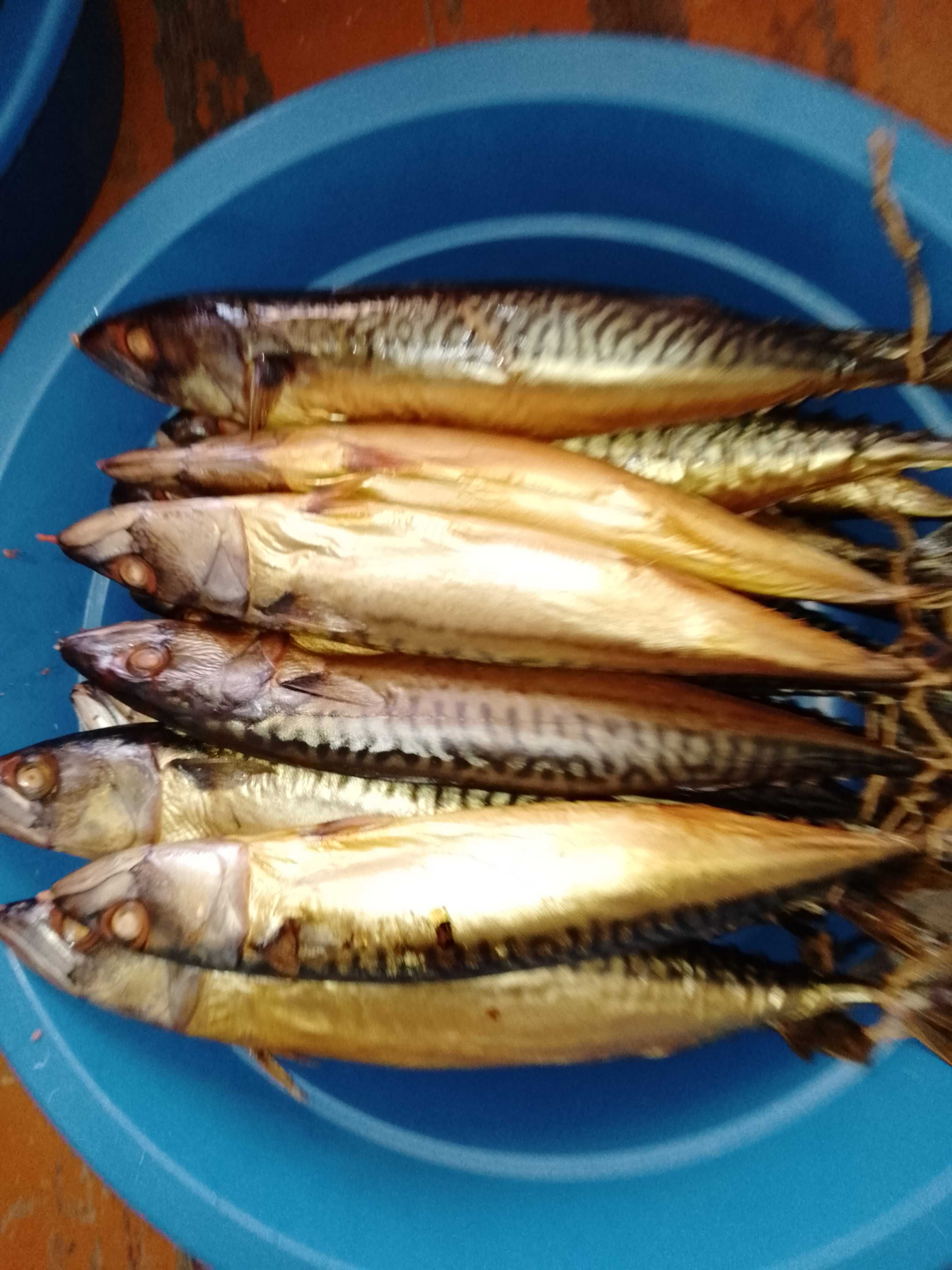 Коптим мясо(конина, говядина,казы, шужык), птицу.